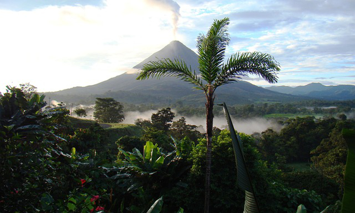 Viaggio alla scoperta della natura: cosa vedere in Costa Rica Forexchange