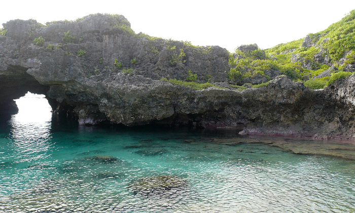 La bellezza incontaminata dell’Isola di Niue la Roccia della Polinesia Forexchange