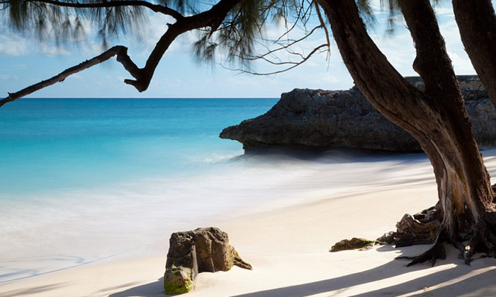 Barbados, cosa vedere durante il soggiorno Forexchange