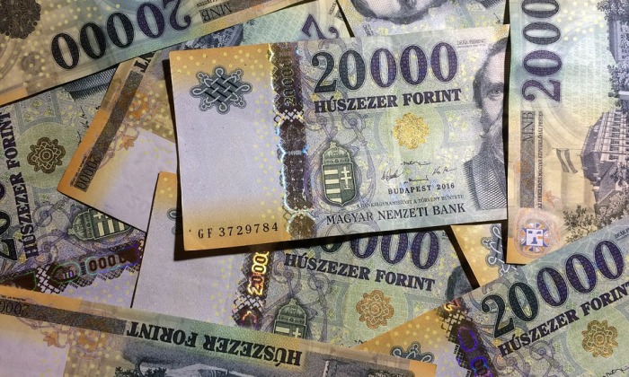 Cambio valuta da fiorino ungherese a euro: tutte le informazioni utili Forexchange