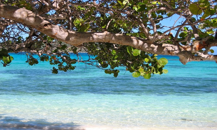 Destinazione Barbados: consigli pratici per un viaggio ideale Forexchange