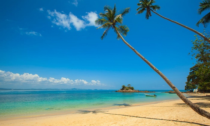 Le 5 migliori isole dei Caraibi: ecco i paradisi tropicali più belli Forexchange
