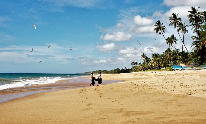 Relax e natura: scopriamo le migliori spiagge dello Sri Lanka Forexchange