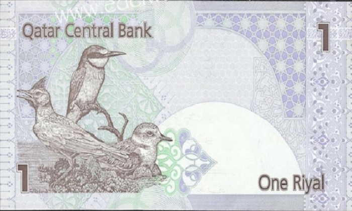 Il Riyal del Qatar: curiosità e consigli sulla moneta della piccola penisola arabica Forexchange