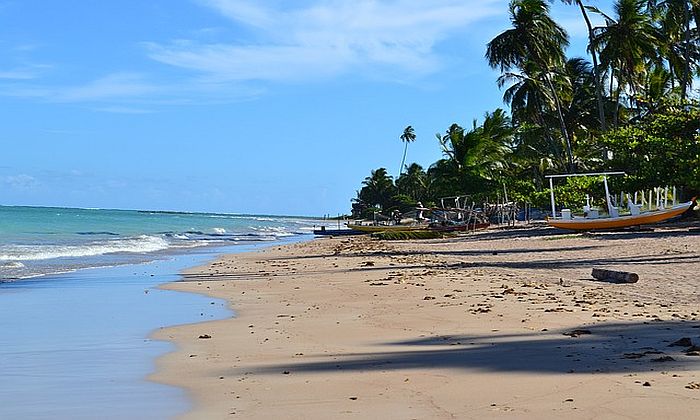 Visitare le spiagge più belle del Brasile Forexchange