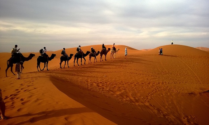 Marocco da sogno: un tour a tappe tra i segreti del deserto Forexchange